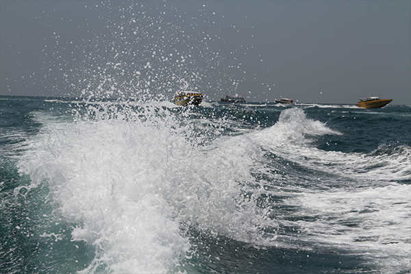 K8����(�й�)����Ӯ�ҡ�һ������